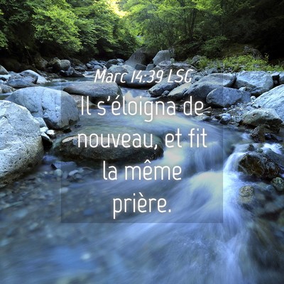 Picture 04 - Marc 14:39 LSG - Il s'éloigna de nouveau, et fit la même - Bible Verse Picture