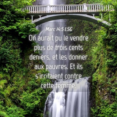 Picture 04 - Marc 14:5 LSG - On aurait pu le vendre plus de trois cents - Bible Verse Picture