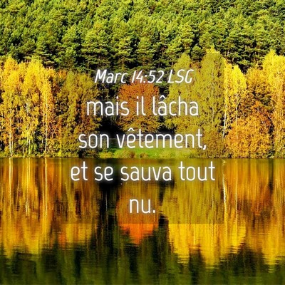 Picture 04 - Marc 14:52 LSG - mais il lâcha son vêtement, et se sauva tout - Bible Verse Picture