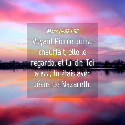 Picture 04 - Marc 14:67 LSG - Voyant Pierre qui se chauffait, elle le regarda, - Bible Verse Picture