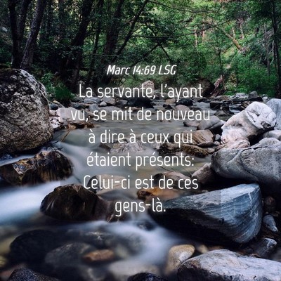 Picture 04 - Marc 14:69 LSG - La servante, l'ayant vu, se mit de nouveau à - Bible Verse Picture