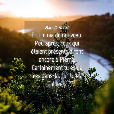 Picture 04 - Marc 14:70 LSG - Et il le nia de nouveau. Peu après, ceux qui - Bible Verse Picture