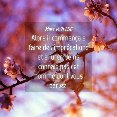 Picture 04 - Marc 14:71 LSG - Alors il commença à faire des imprécations et - Bible Verse Picture