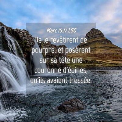 Picture 04 - Marc 15:17 LSG - Ils le revêtirent de pourpre, et posèrent sur - Bible Verse Picture