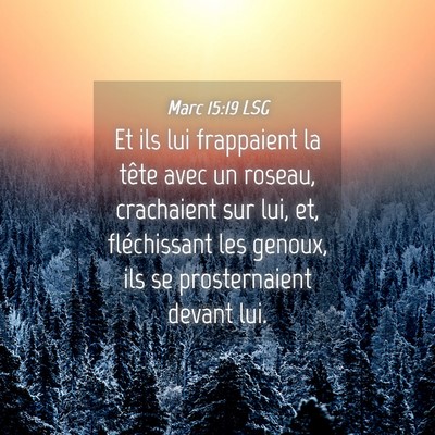 Picture 04 - Marc 15:19 LSG - Et ils lui frappaient la tête avec un roseau, - Bible Verse Picture