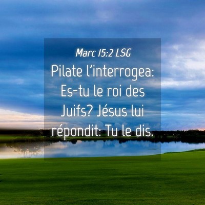 Picture 04 - Marc 15:2 LSG - Pilate l'interrogea: Es-tu le roi des Juifs? - Bible Verse Picture