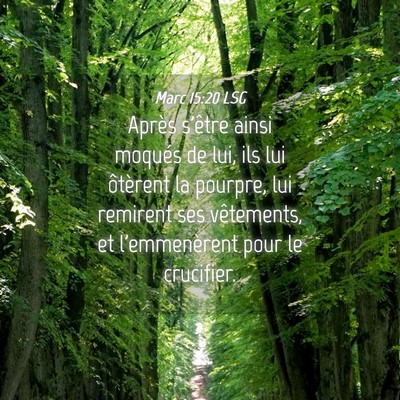 Picture 04 - Marc 15:20 LSG - Après s'être ainsi moqués de lui, ils lui - Bible Verse Picture