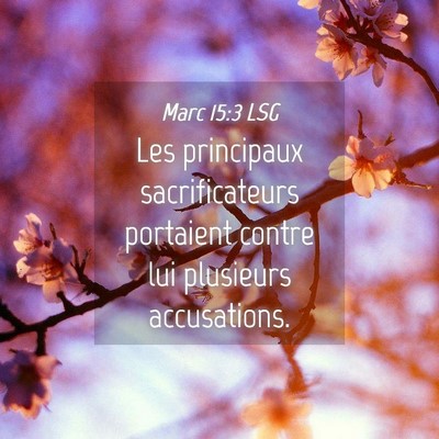 Picture 04 - Marc 15:3 LSG - Les principaux sacrificateurs portaient contre - Bible Verse Picture