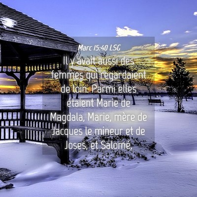 Picture 04 - Marc 15:40 LSG - Il y avait aussi des femmes qui regardaient de - Bible Verse Picture