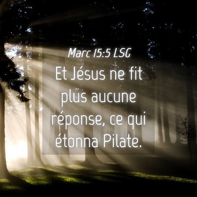 Picture 04 - Marc 15:5 LSG - Et Jésus ne fit plus aucune réponse, ce qui - Bible Verse Picture