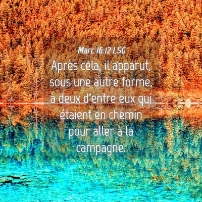 Picture 04 - Marc 16:12 LSG - Après cela, il apparut, sous une autre forme, à - Bible Verse Picture