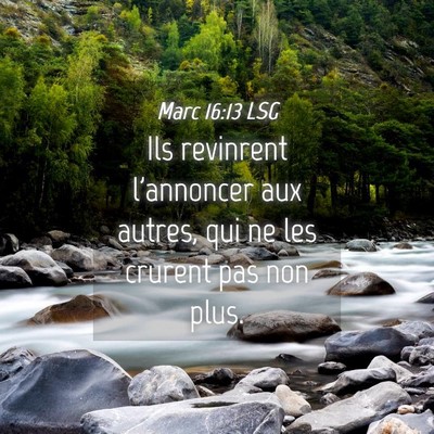 Picture 04 - Marc 16:13 LSG - Ils revinrent l'annoncer aux autres, qui ne les - Bible Verse Picture