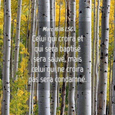 Picture 04 - Marc 16:16 LSG - Celui qui croira et qui sera baptisé sera - Bible Verse Picture