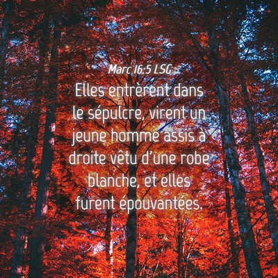 Picture 04 - Marc 16:5 LSG - Elles entrèrent dans le sépulcre, virent un - Bible Verse Picture