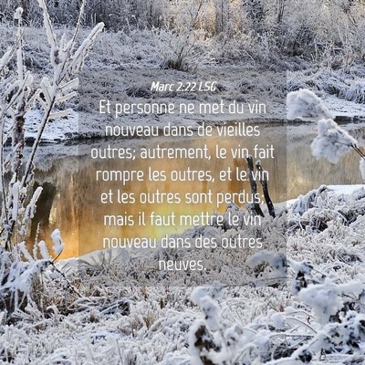 Picture 04 - Marc 2:22 LSG - Et personne ne met du vin nouveau dans de - Bible Verse Picture