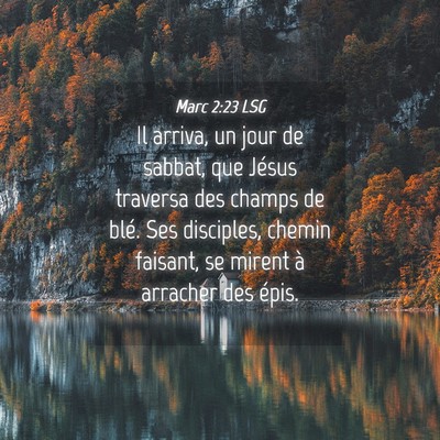 Picture 04 - Marc 2:23 LSG - Il arriva, un jour de sabbat, que Jésus traversa - Bible Verse Picture