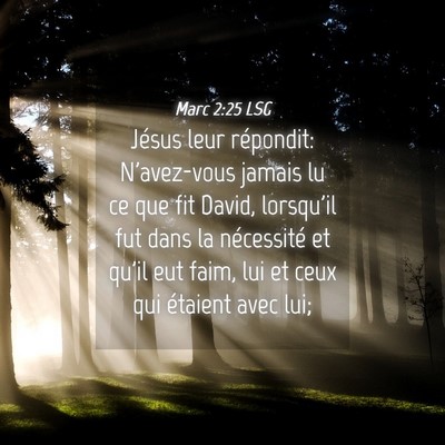 Picture 04 - Marc 2:25 LSG - Jésus leur répondit: N'avez-vous jamais lu ce - Bible Verse Picture
