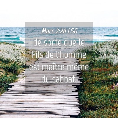 Picture 04 - Marc 2:28 LSG - de sorte que le Fils de l'homme est maître même - Bible Verse Picture