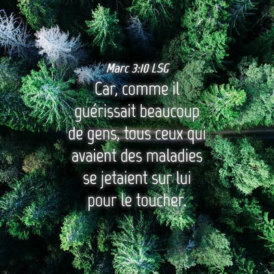 Picture 04 - Marc 3:10 LSG - Car, comme il guérissait beaucoup de gens, tous - Bible Verse Picture