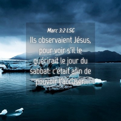 Picture 04 - Marc 3:2 LSG - Ils observaient Jésus, pour voir s'il le - Bible Verse Picture