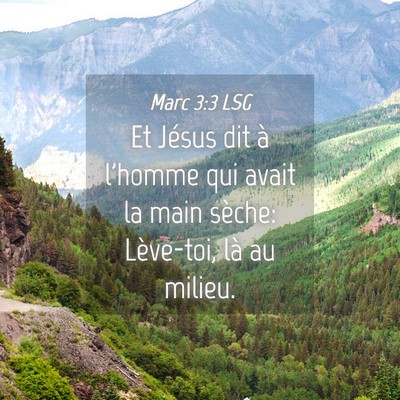 Picture 04 - Marc 3:3 LSG - Et Jésus dit à l'homme qui avait la main - Bible Verse Picture