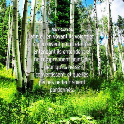 Picture 04 - Marc 4:12 LSG - afin qu'en voyant ils voient et n'aperçoivent - Bible Verse Picture