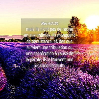 Picture 04 - Marc 4:17 LSG - mais ils n'ont pas de racine en eux-mêmes, ils - Bible Verse Picture