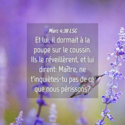 Picture 04 - Marc 4:38 LSG - Et lui, il dormait à la poupe sur le coussin. - Bible Verse Picture