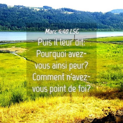 Picture 04 - Marc 4:40 LSG - Puis il leur dit: Pourquoi avez-vous ainsi peur? - Bible Verse Picture