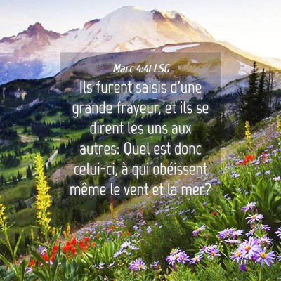 Picture 04 - Marc 4:41 LSG - Ils furent saisis d'une grande frayeur, et ils se - Bible Verse Picture