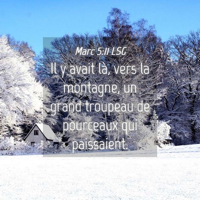 Picture 04 - Marc 5:11 LSG - Il y avait là, vers la montagne, un grand - Bible Verse Picture