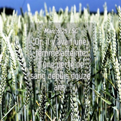 Picture 04 - Marc 5:25 LSG - Or, il y avait une femme atteinte d'une perte de - Bible Verse Picture