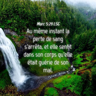 Picture 04 - Marc 5:29 LSG - Au même instant la perte de sang s'arrêta, et - Bible Verse Picture