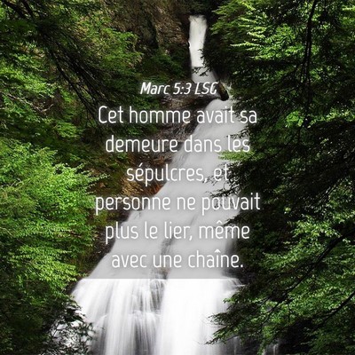 Picture 04 - Marc 5:3 LSG - Cet homme avait sa demeure dans les sépulcres, - Bible Verse Picture