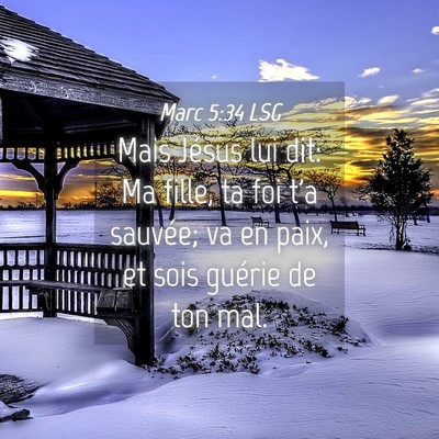 Picture 04 - Marc 5:34 LSG - Mais Jésus lui dit: Ma fille, ta foi t'a - Bible Verse Picture