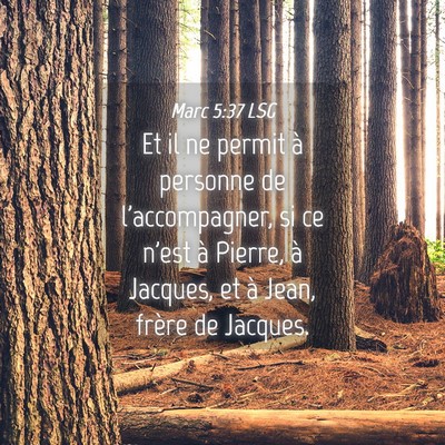 Picture 04 - Marc 5:37 LSG - Et il ne permit à personne de l'accompagner, si - Bible Verse Picture