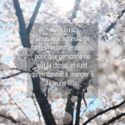 Picture 04 - Marc 5:43 LSG - Jésus leur adressa de fortes recommandations, - Bible Verse Picture