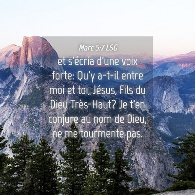 Picture 04 - Marc 5:7 LSG - et s'écria d'une voix forte: Qu'y a-t-il entre - Bible Verse Picture