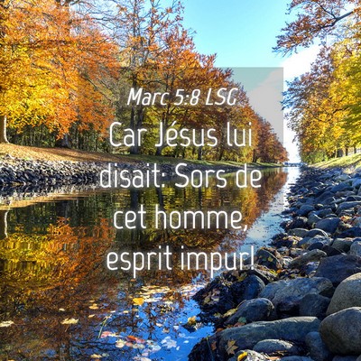 Picture 04 - Marc 5:8 LSG - Car Jésus lui disait: Sors de cet homme, esprit - Bible Verse Picture