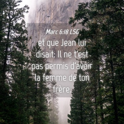 Picture 04 - Marc 6:18 LSG - et que Jean lui disait: Il ne t'est pas permis - Bible Verse Picture