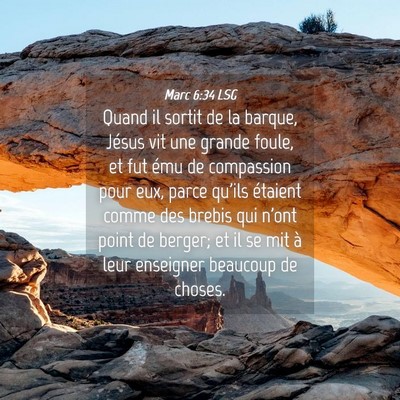 Picture 04 - Marc 6:34 LSG - Quand il sortit de la barque, Jésus vit une - Bible Verse Picture