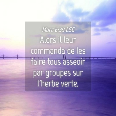 Picture 04 - Marc 6:39 LSG - Alors il leur commanda de les faire tous asseoir - Bible Verse Picture