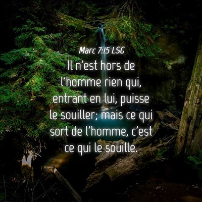 Picture 04 - Marc 7:15 LSG - Il n'est hors de l'homme rien qui, entrant en - Bible Verse Picture