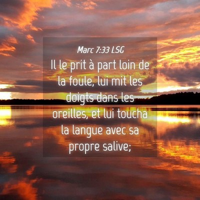 Picture 04 - Marc 7:33 LSG - Il le prit à part loin de la foule, lui mit les - Bible Verse Picture