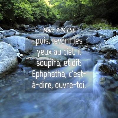Picture 04 - Marc 7:34 LSG - puis, levant les yeux au ciel, il soupira, et - Bible Verse Picture
