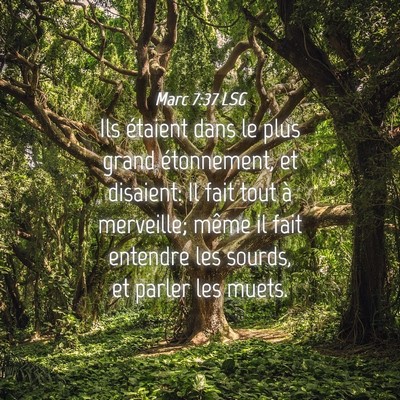 Picture 04 - Marc 7:37 LSG - Ils étaient dans le plus grand étonnement, et - Bible Verse Picture