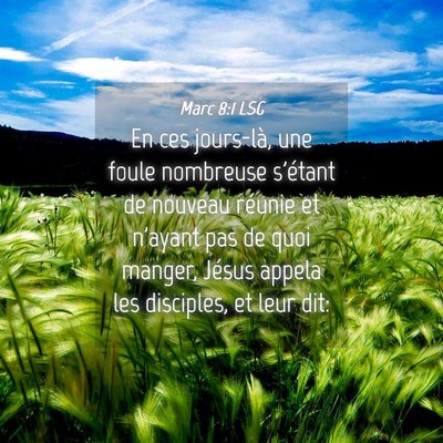 Picture 04 - Marc 8:1 LSG - En ces jours-là, une foule nombreuse s'étant de - Bible Verse Picture