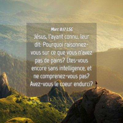 Picture 04 - Marc 8:17 LSG - Jésus, l'ayant connu, leur dit: Pourquoi - Bible Verse Picture