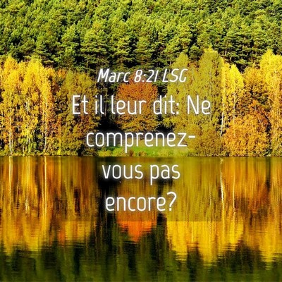 Picture 04 - Marc 8:21 LSG - Et il leur dit: Ne comprenez-vous pas - Bible Verse Picture