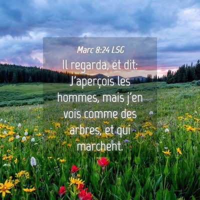 Picture 04 - Marc 8:24 LSG - Il regarda, et dit: J'aperçois les hommes, mais - Bible Verse Picture